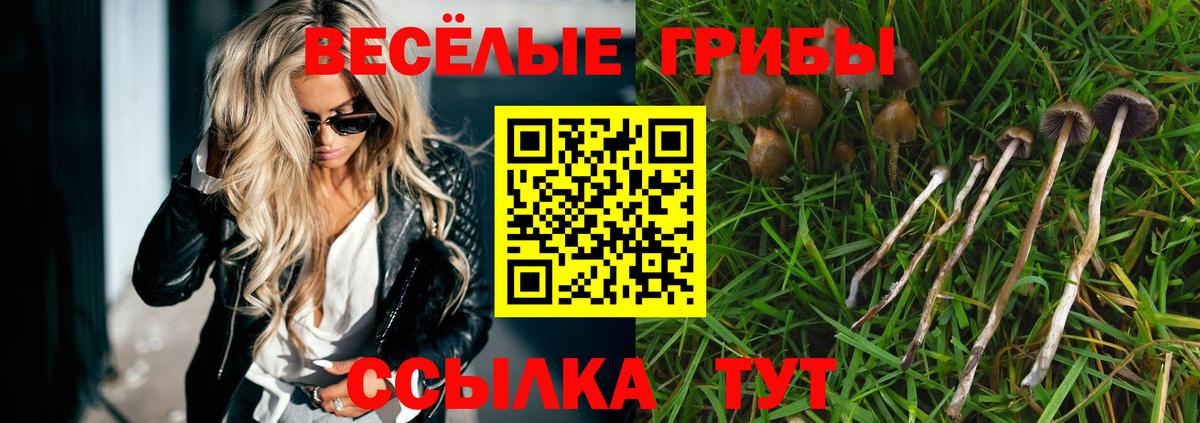 Псилоцибиновые грибы Psilocybine cubensis Ангарск