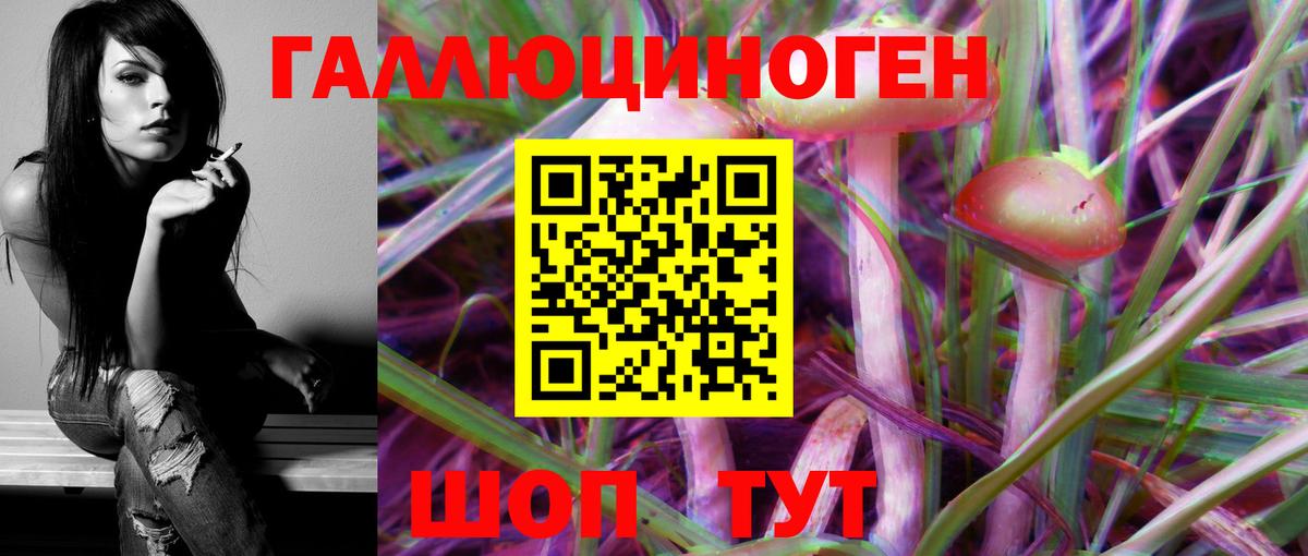 Ангарск  Галлюциногенные грибы Psilocybe  где купить   Вход с VPN 